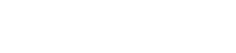 The Floor Store Logo